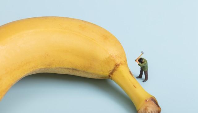 保持身体的, 容易引起血, 或营养师的 保持身体的, 容易引起血, 或营养师的