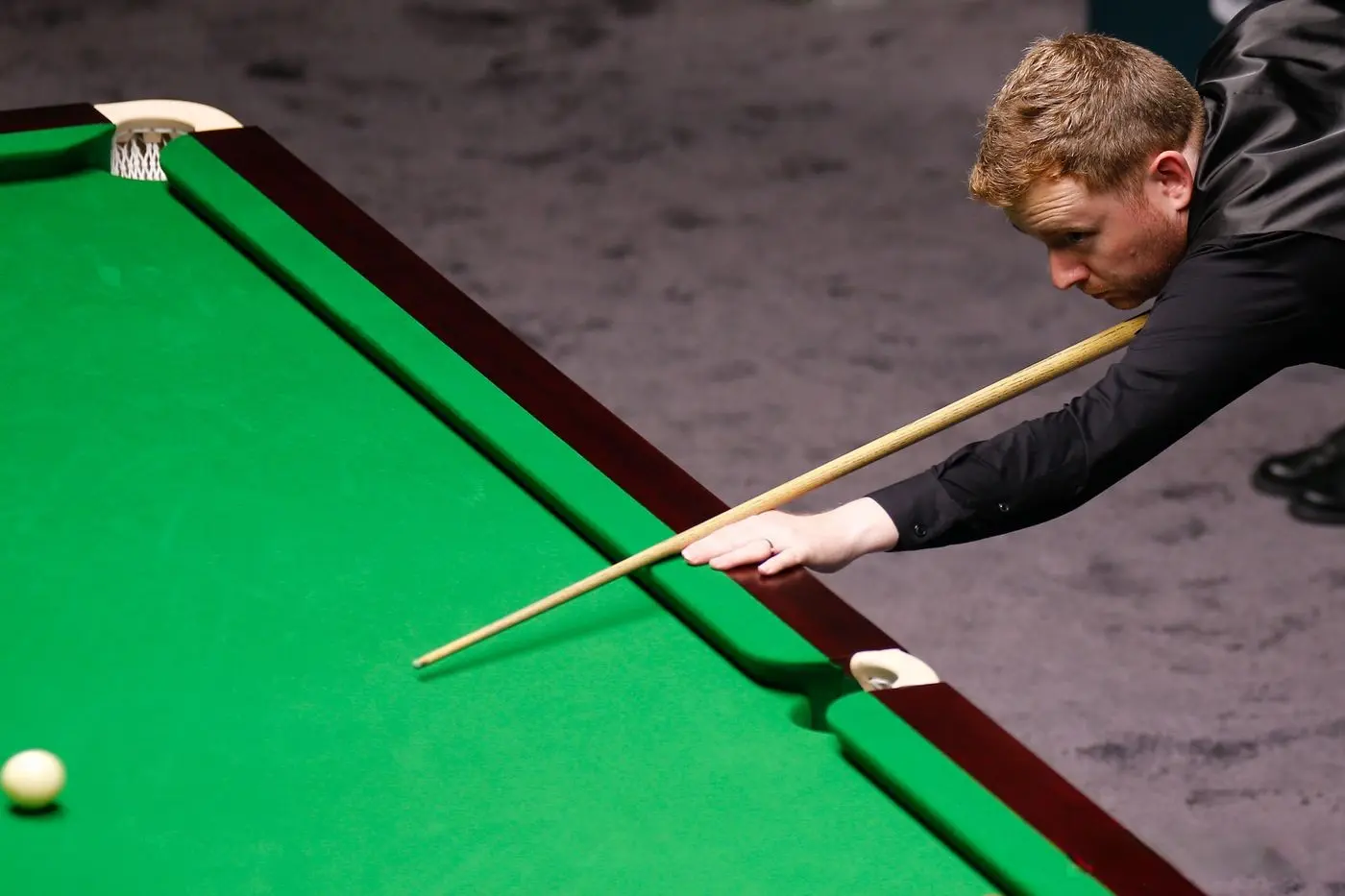 img, tenan, msn img, tenan, msn