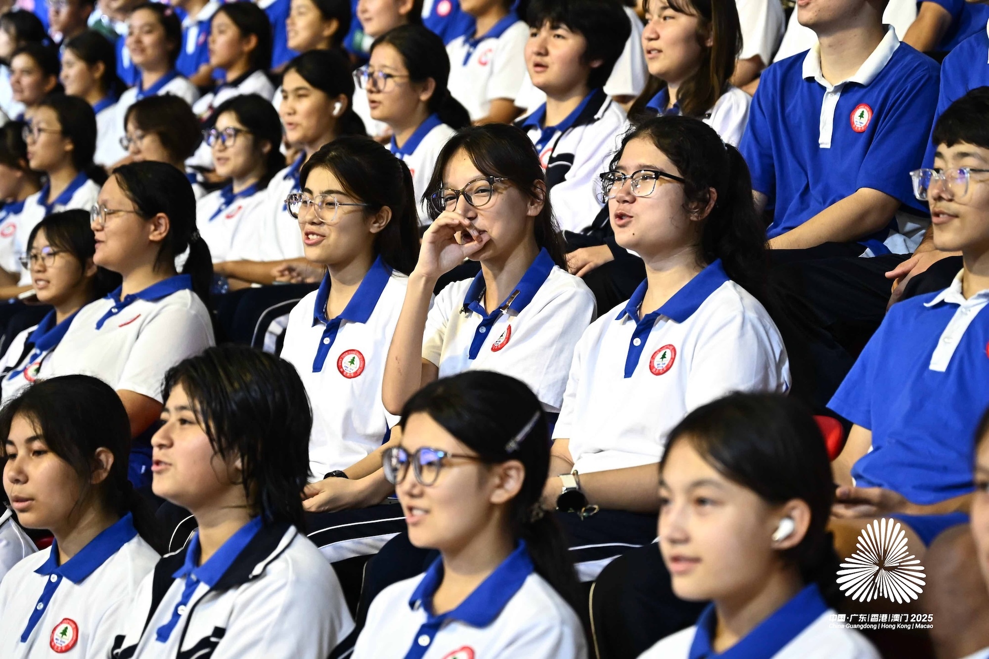 tenan, stron, 主要从事中